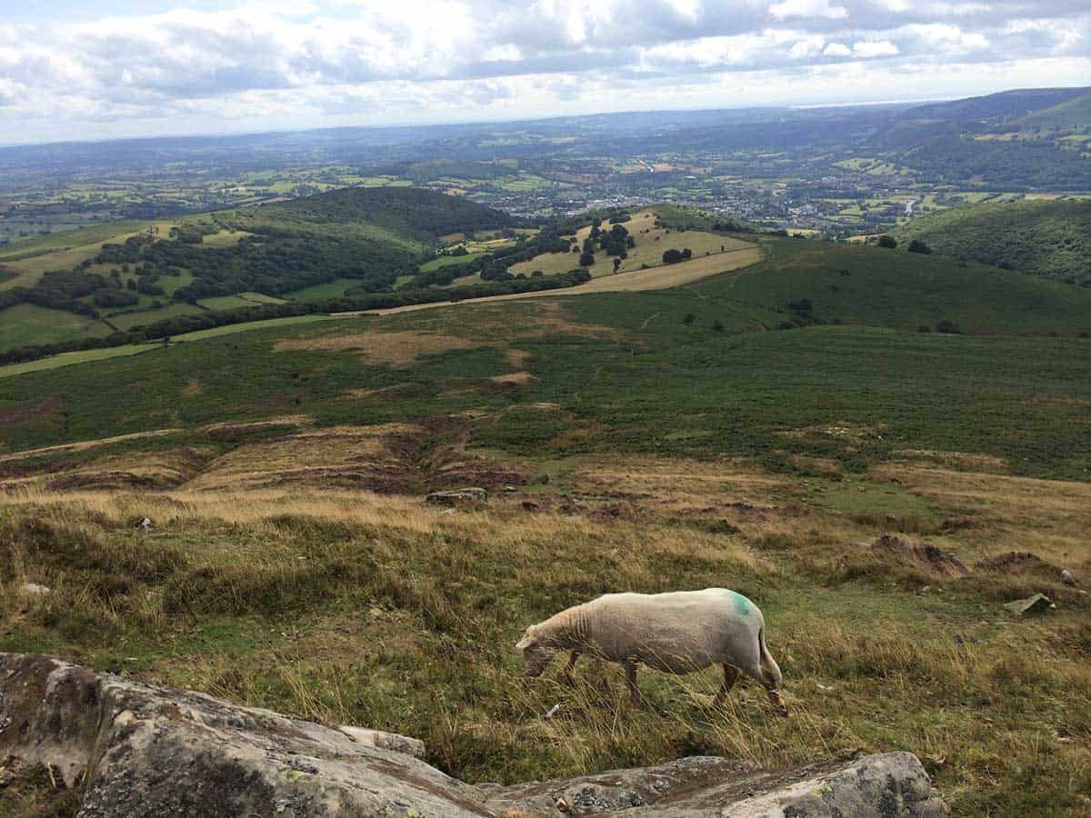 The Ultimate Eco-Friendly Wales Road Trip - 7 Days In Wales For Nature Lovers 3 Sugar Loaf Mountain in Abergavenny Wales