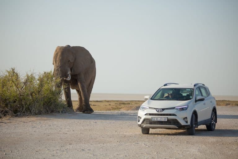 world nomads travel insurance
