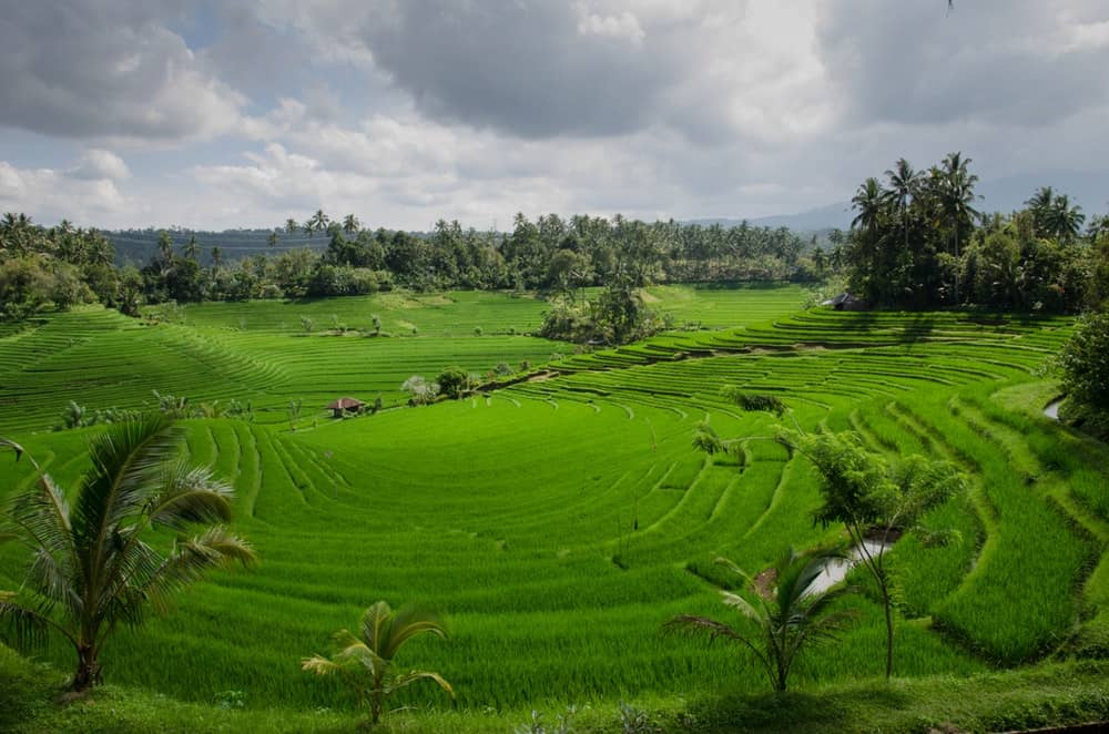 Where I'm (Probably) Travelling In 2019! 9 Ubud Bali Indonesia