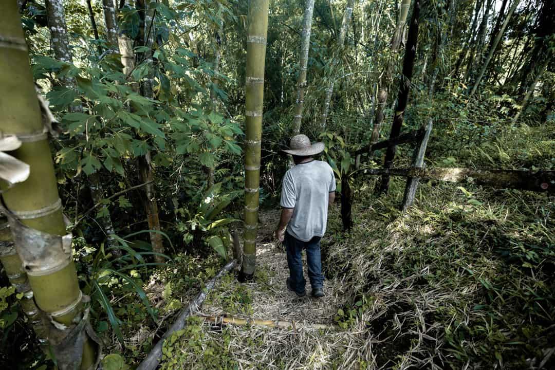 31 Must-know Colombia travel tips: Essential things to know before going to Colombia 8 A coffee farmer in the forest in Filandia Colombia