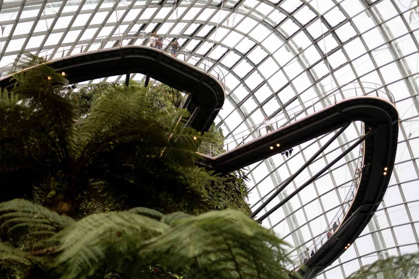 21 Singapore Facts & Other Useful Things To Know Before Going To Singapore 9 Sky bridge at Gardens by the Bay in Singapore