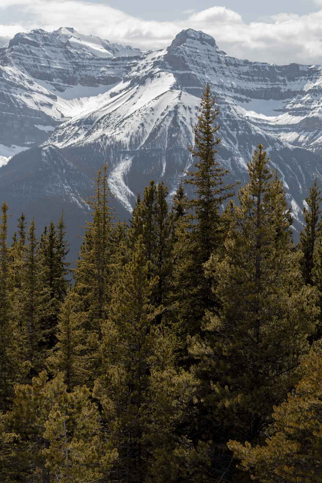 Alberta Canada