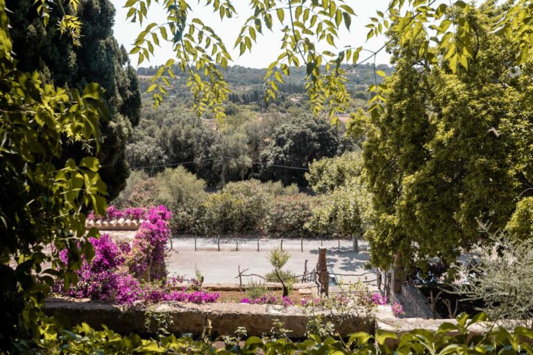 Studio Alajode: Where story meets strategy | Travel Marketing & Media Services 24 Views from the cafe at Coves de Campanet Mallorca