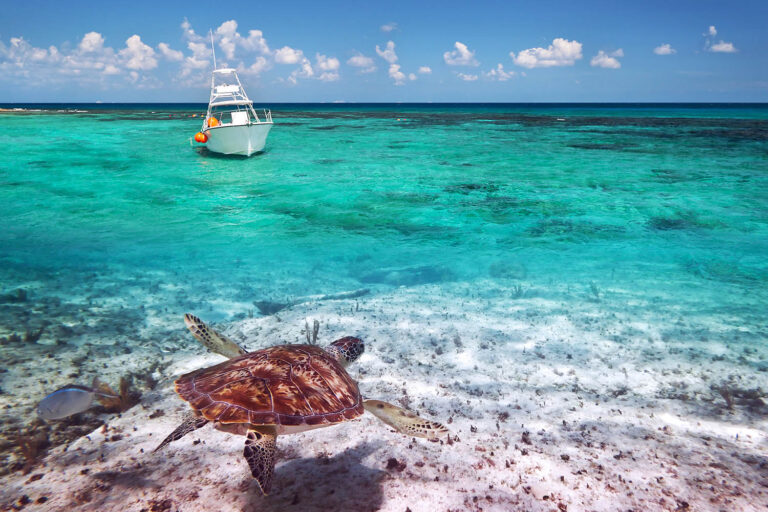 Ecotourism in the Caribbean