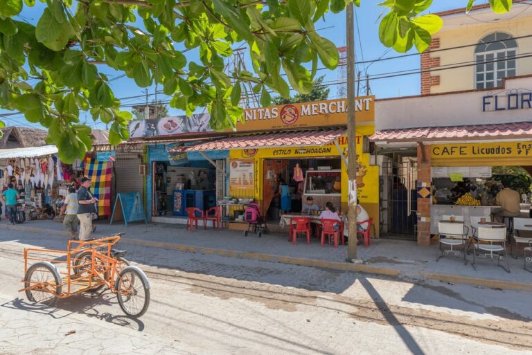 Tulum Digital Nomad