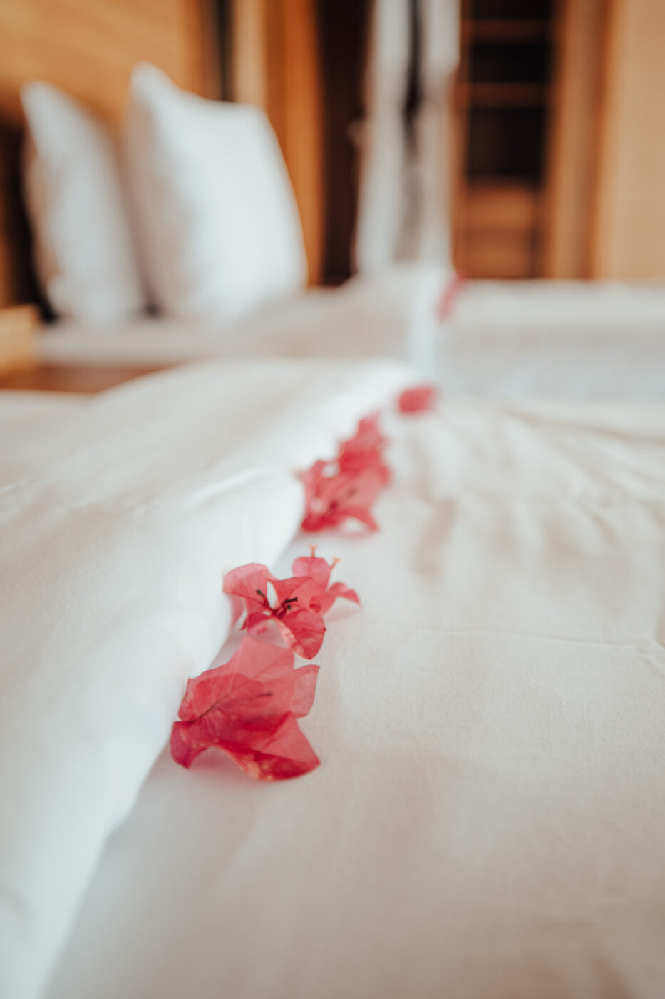 Studio Alajode: Where story meets strategy | Travel Marketing & Media Services 46 Pink flower petals on a white bed at Menjaga Bay hotel
