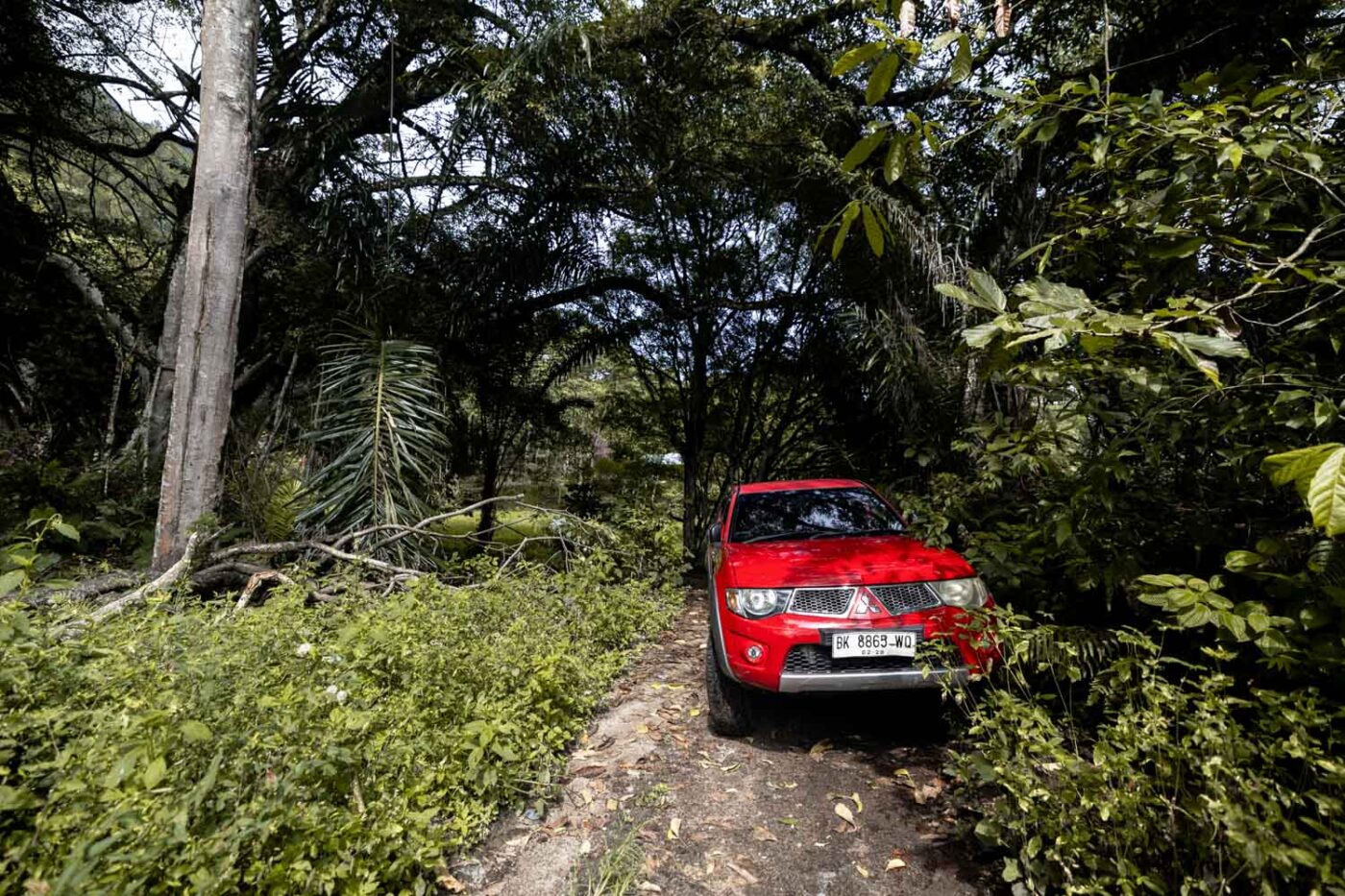 A Unique Stay At Tabo Cottages, Samosir Island: A Lake Toba hotel with a story 16 Red Ford Ranger in trees on Samosir Island