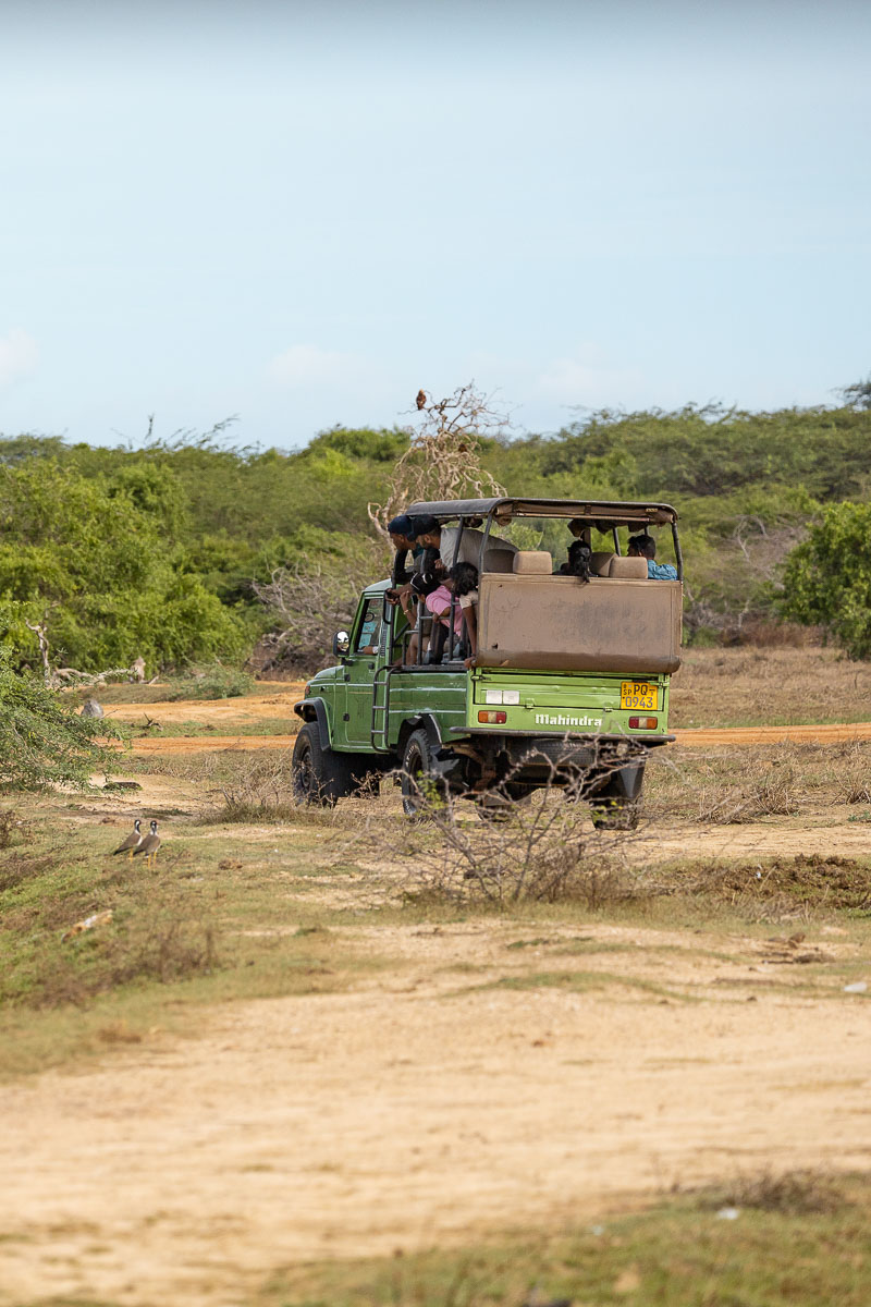Wild Trails Yala by Suri: A Sustainable Tented Safari Camp Experience on the Edge of Yala National Park, Sri Lanka 19 A green jeep parked next to a lagoon in Bundala National Park