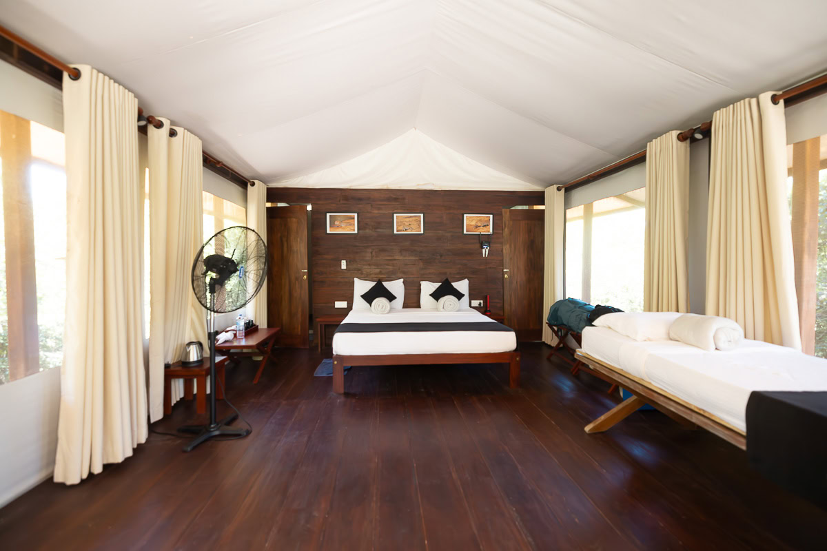 Wild Trails Yala by Suri: A Sustainable Tented Safari Camp Experience on the Edge of Yala National Park, Sri Lanka 11 Full view of the room at Wild Trails Yala by Suri tented safari camp. There is a large double bed with white sheets, wooden floors and walls, windows with curtains all around and an additional single bed.