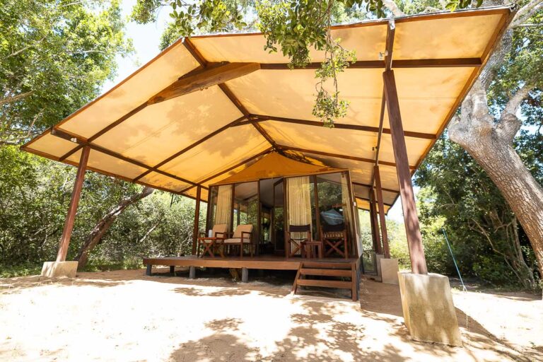 Tented glamping accommodation for Yala National Park by Wild Trails Yala by Suri in Sri Lanka