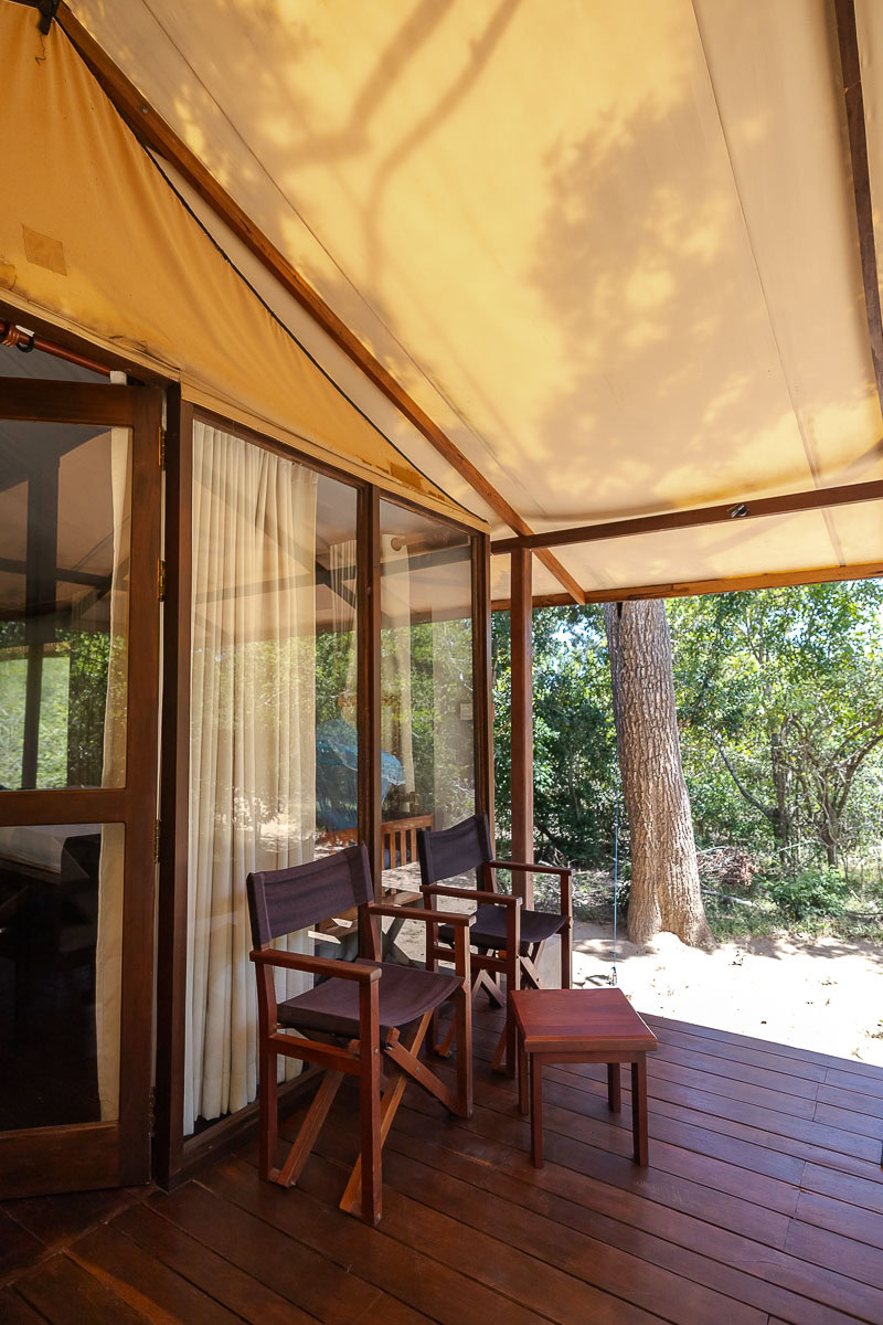 Wild Trails Yala by Suri: A Sustainable Tented Safari Camp Experience on the Edge of Yala National Park, Sri Lanka 5 Chairs on the deck outside a tented room at Wild Trails Yala by Suri in Sri Lanka