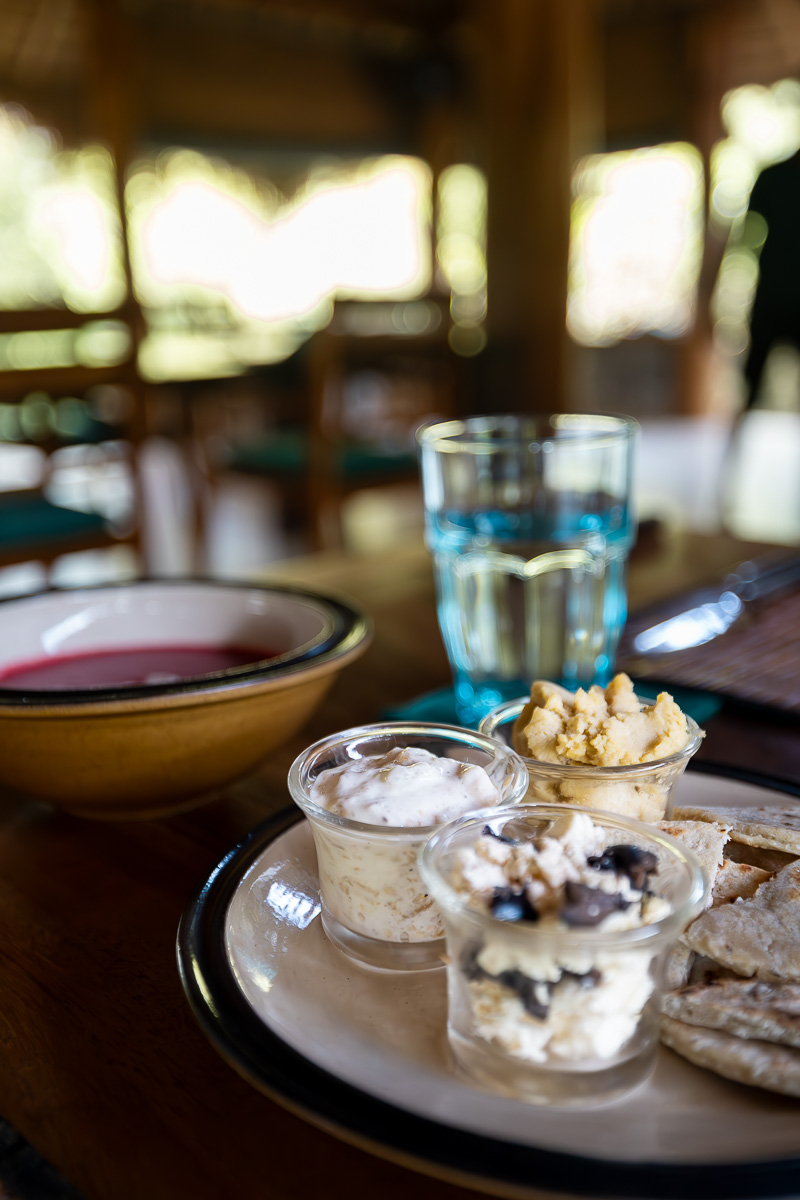 Gal Oya Lodge: A Luxury Eco Lodge In Sri Lanka's Least Visited National Park 10 A plate of various dips and a purple soup.