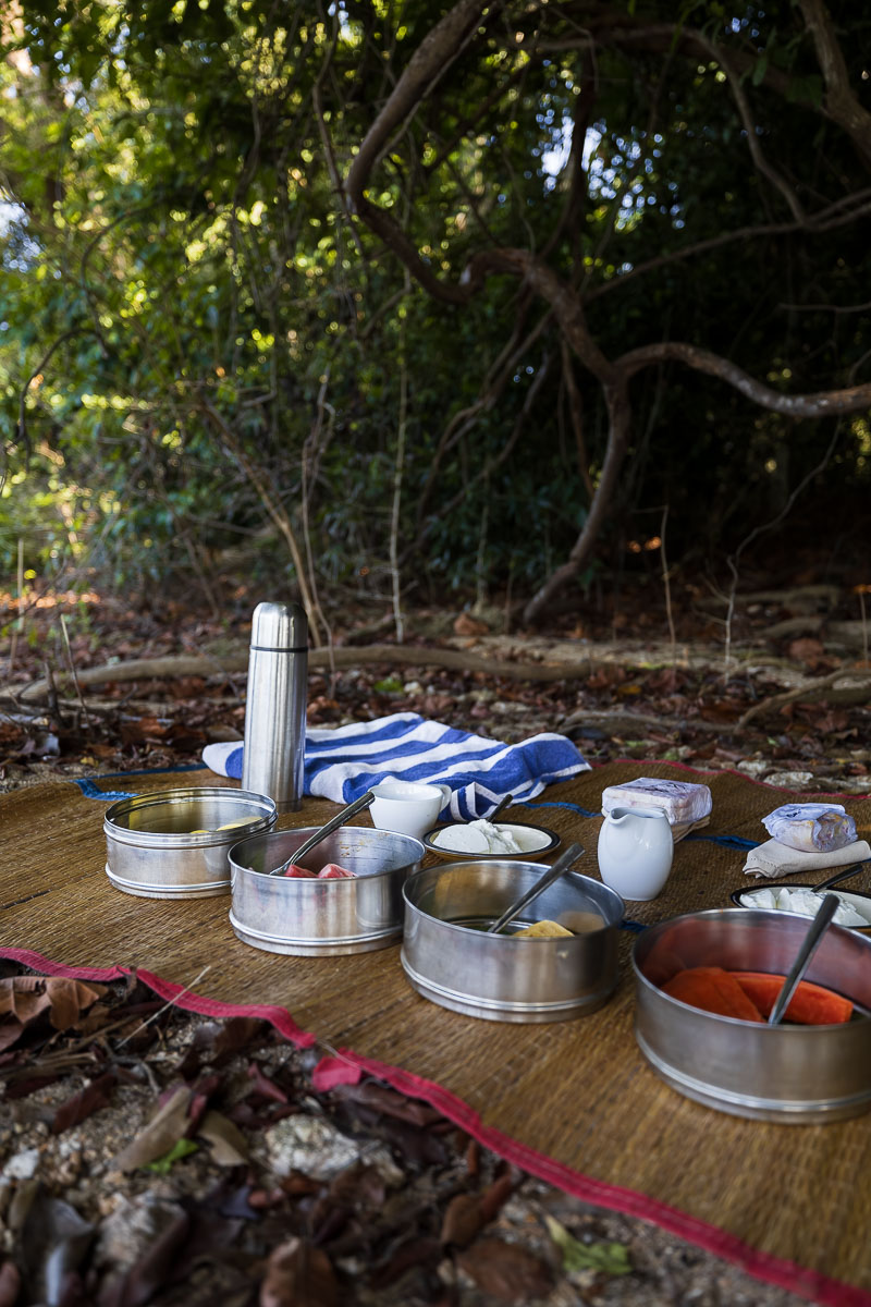 Gal Oya Lodge: A Luxury Eco Lodge In Sri Lanka's Least Visited National Park 8 A picnic set up on a mat surrounded by greenery. There are several stainless steel pots with fruit inside, mugs, a hot water flask with coffee and a towel.