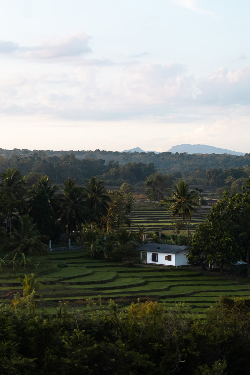 Gal Oya Lodge: A Luxury Eco Lodge In Sri Lanka's Least Visited National Park 2 A countryside with rice terraces and a mountain in the background. There is a small white bungalow next to the terraces.
