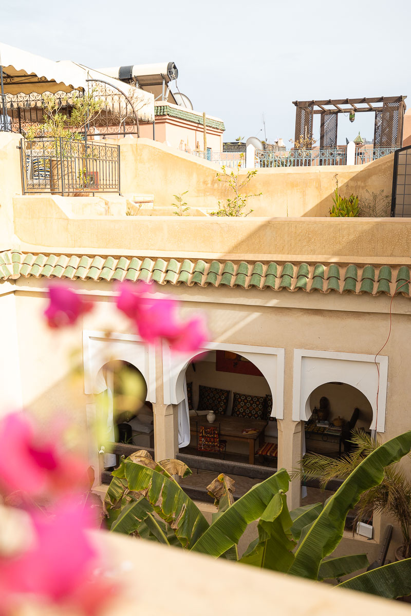 Riad Bamileke (Medina Marrakech): Complete Review & FREE Morocco Travel Guide 3 Looking into the riad courtyard, with pink flowers blurred out in the foreground