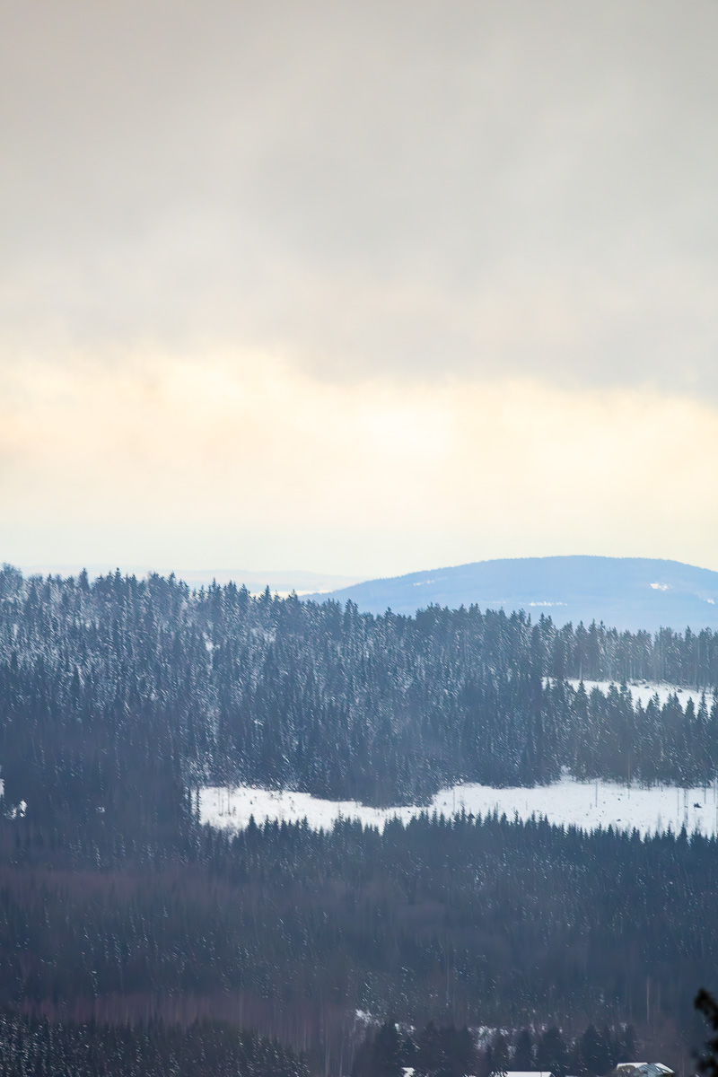 Koli National Park: Finland's Best Kept Secret For Nature Lovers 1 Koli National Park Finland